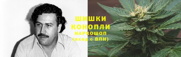 спайс Алзамай
