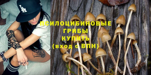 прущие крисы Алексин