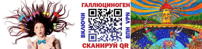 Псилоцибиновые грибы Cubensis  Тогучин 